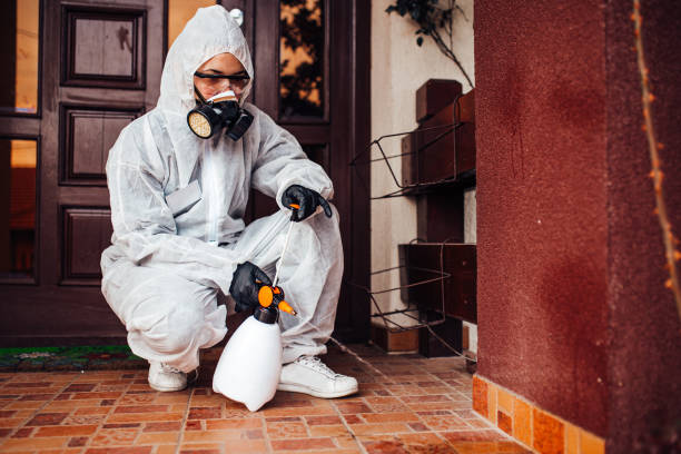 Reliable Bed Bug Control contractor in Signal Mountain, TN by Nex Pest Control