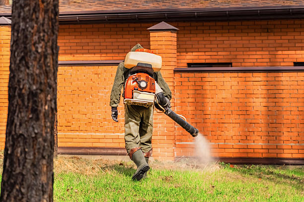 Trusted Cockroach Control service in Signal Mountain, TN - Nex Pest Control
